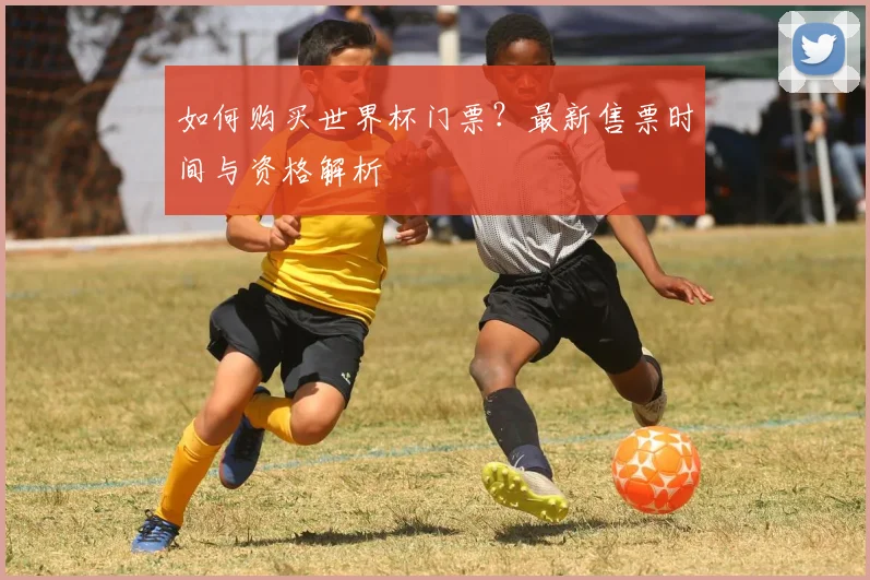 如何购买世界杯门票?最新售票时间与资格解析